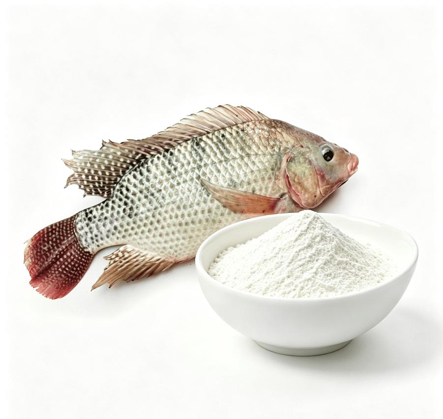 Collagen Cyclic Dipeptide