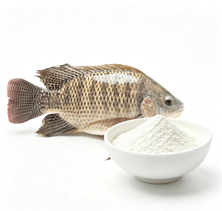 Fish Collagen Peptide